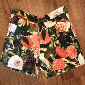 Anthropologie shorts.  Adorable!  Worn twice!